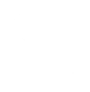 NON GMO Project Verified