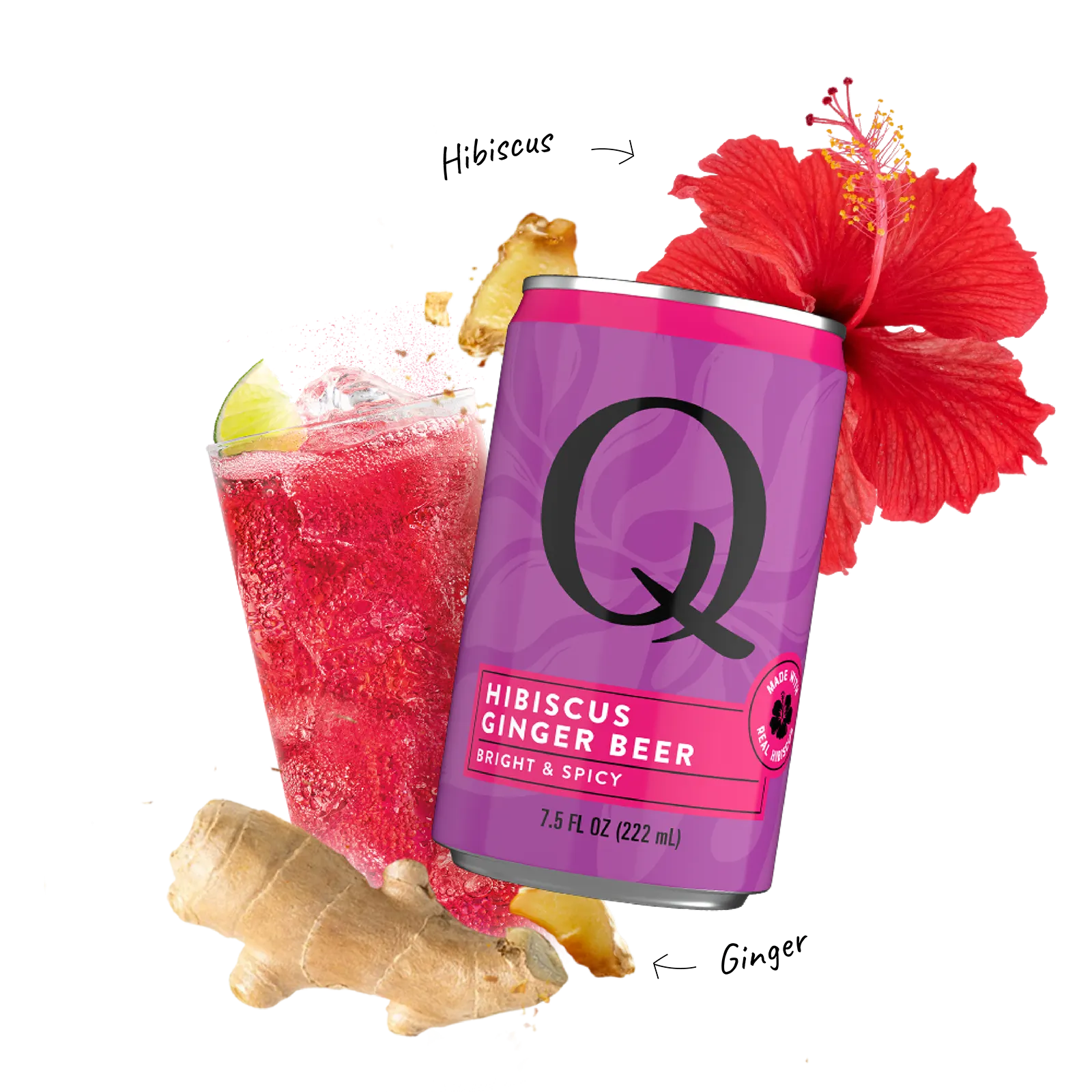 Q Mixers Ginger Beer Hibiscus